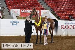 13buck_0627 proof