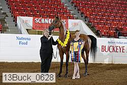 13buck_0628 proof
