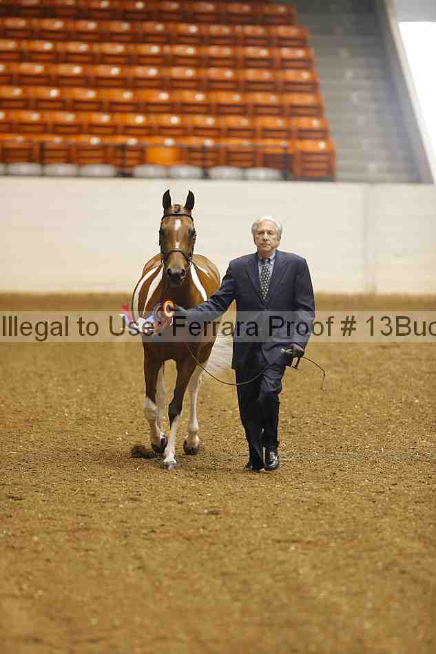 Proof 13buck_0634