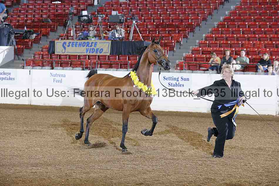Proof 13buck_0635