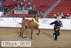 13buck_0635 proof