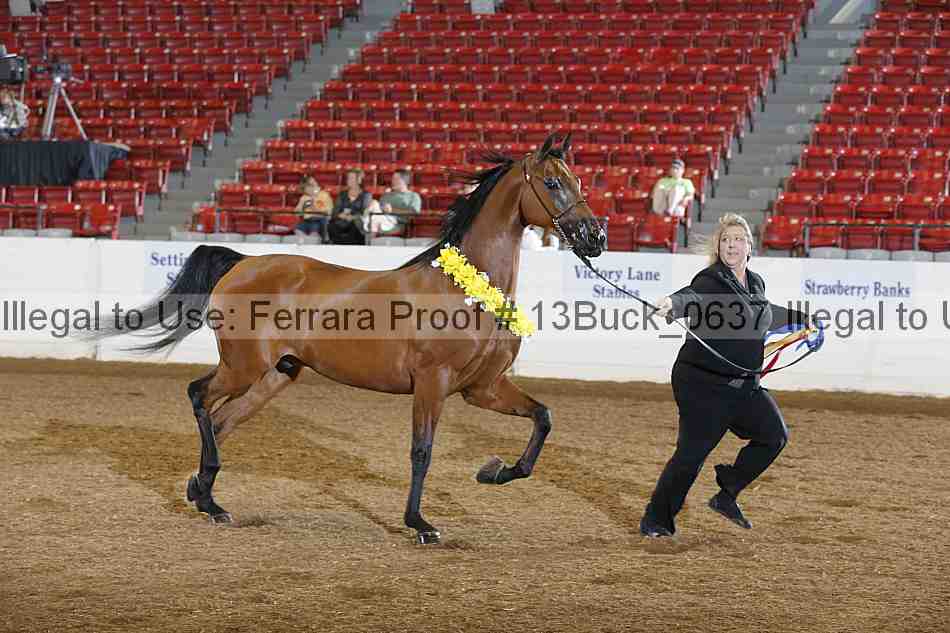 Proof 13buck_0637