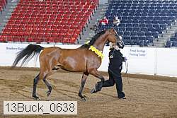 13buck_0638 proof