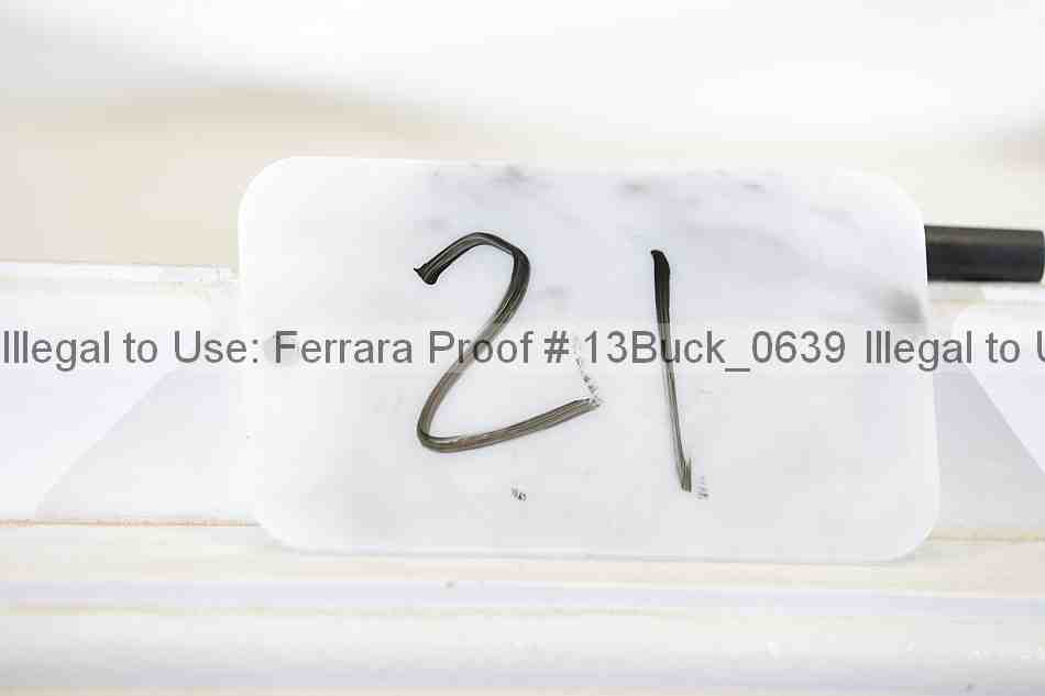 Proof 13buck_0639