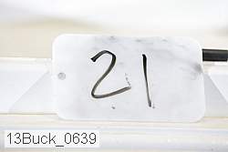 13buck_0639 proof