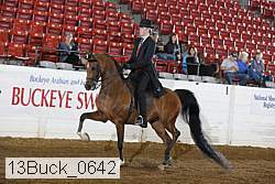 13buck_0642 proof