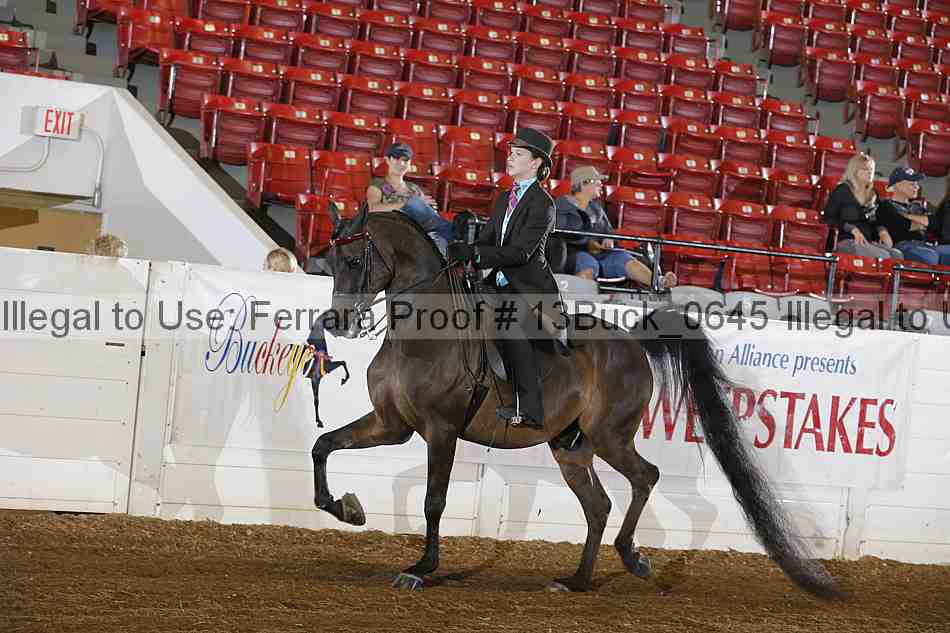 Proof 13buck_0645