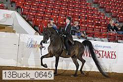 13buck_0645 proof
