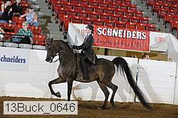 13buck_0646 proof