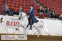 13buck_0647 proof