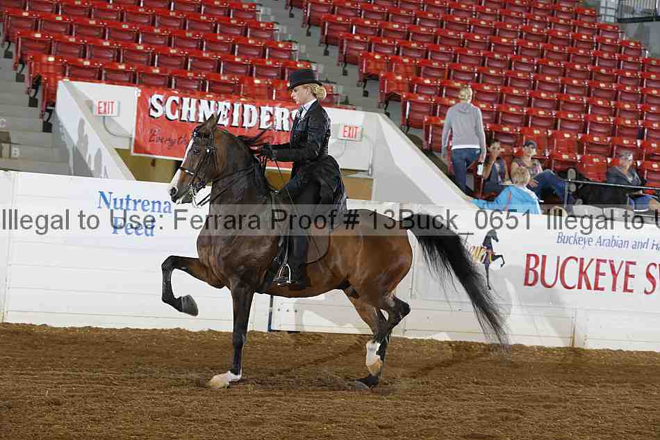 Proof 13buck_0651