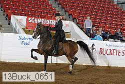 13buck_0651 proof