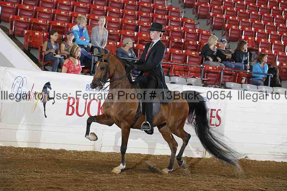 Proof 13buck_0654