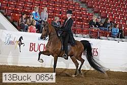 13buck_0654 proof