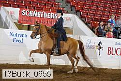 13buck_0655 proof