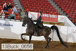 13buck_0656 proof