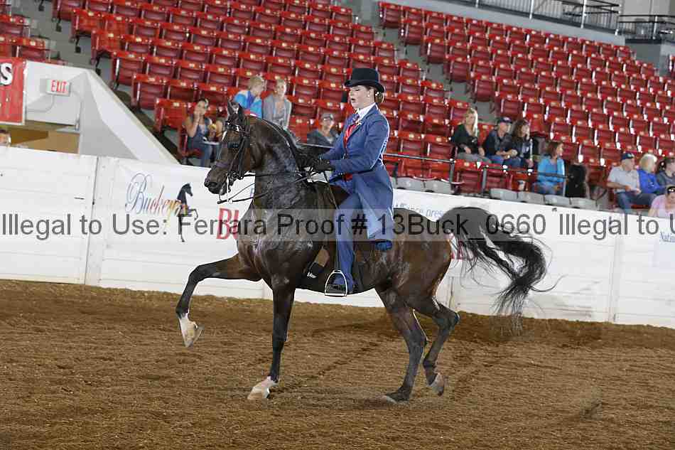 Proof 13buck_0660