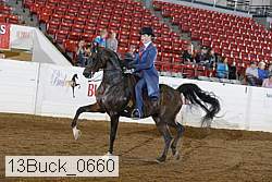 13buck_0660 proof
