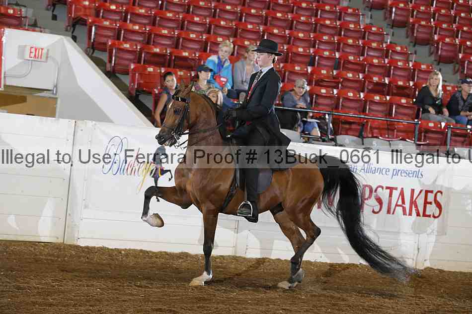 Proof 13buck_0661