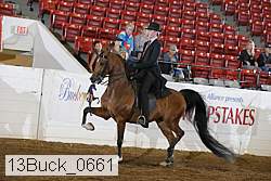 13buck_0661 proof