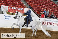 13buck_0662 proof