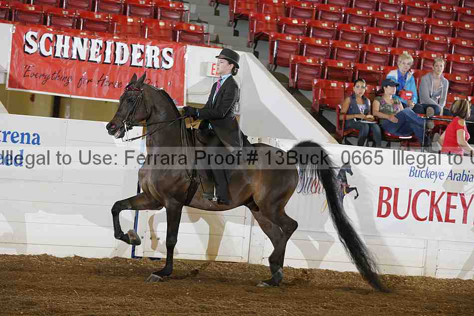 Proof 13buck_0665