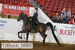 13buck_0665 proof