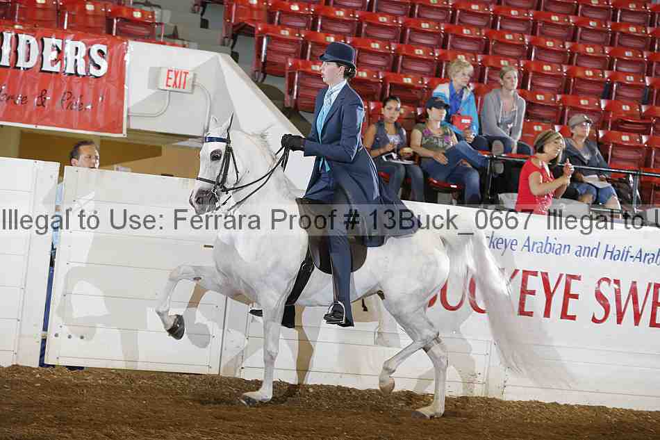 Proof 13buck_0667