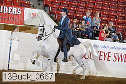 13buck_0667 proof