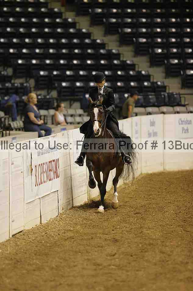 Proof 13buck_0672