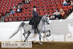 13buck_0673 proof