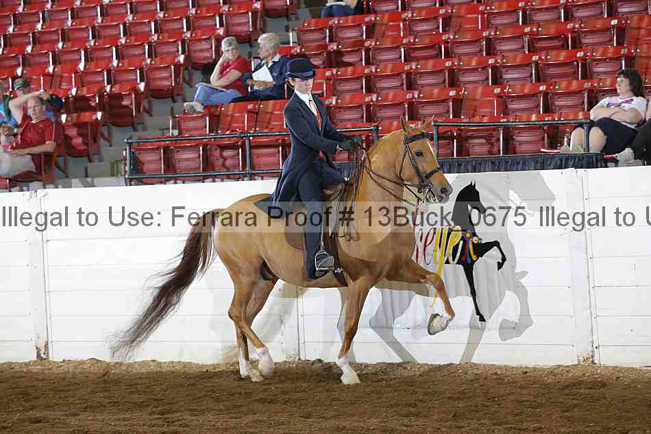 Proof 13buck_0675