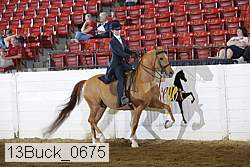 13buck_0675 proof