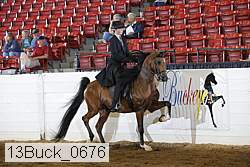 13buck_0676 proof