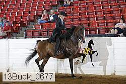 13buck_0677 proof