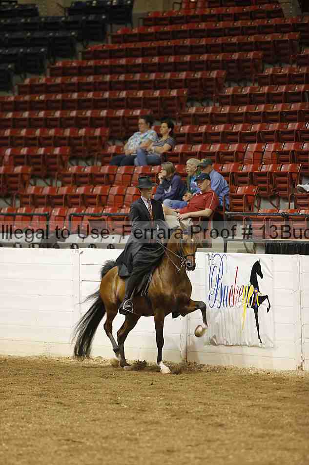 Proof 13buck_0678