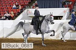 13buck_0681 proof