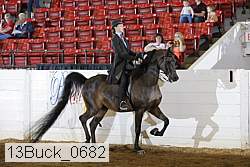 13buck_0682 proof