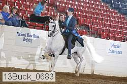 13buck_0683 proof