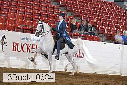 13buck_0684 proof