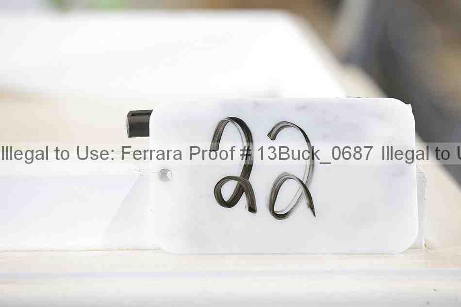 Proof 13buck_0687