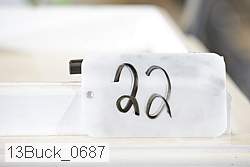 13buck_0687 proof