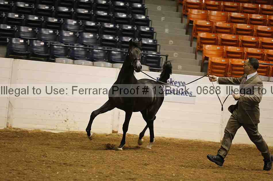 Proof 13buck_0688