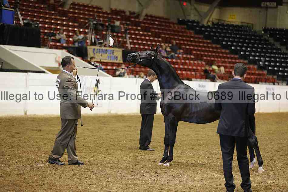 Proof 13buck_0689