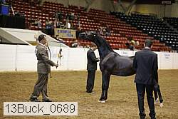13buck_0689 proof