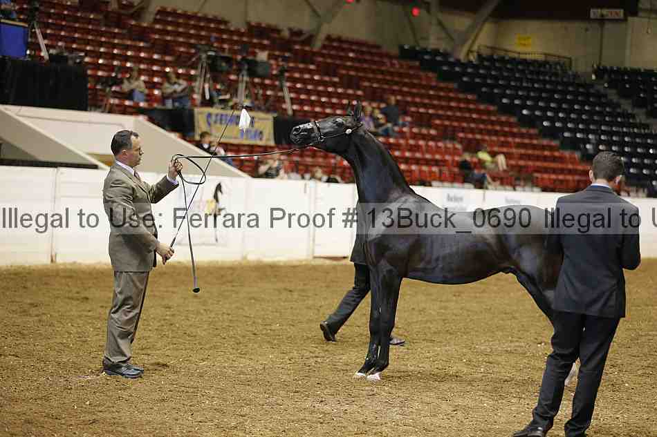Proof 13buck_0690