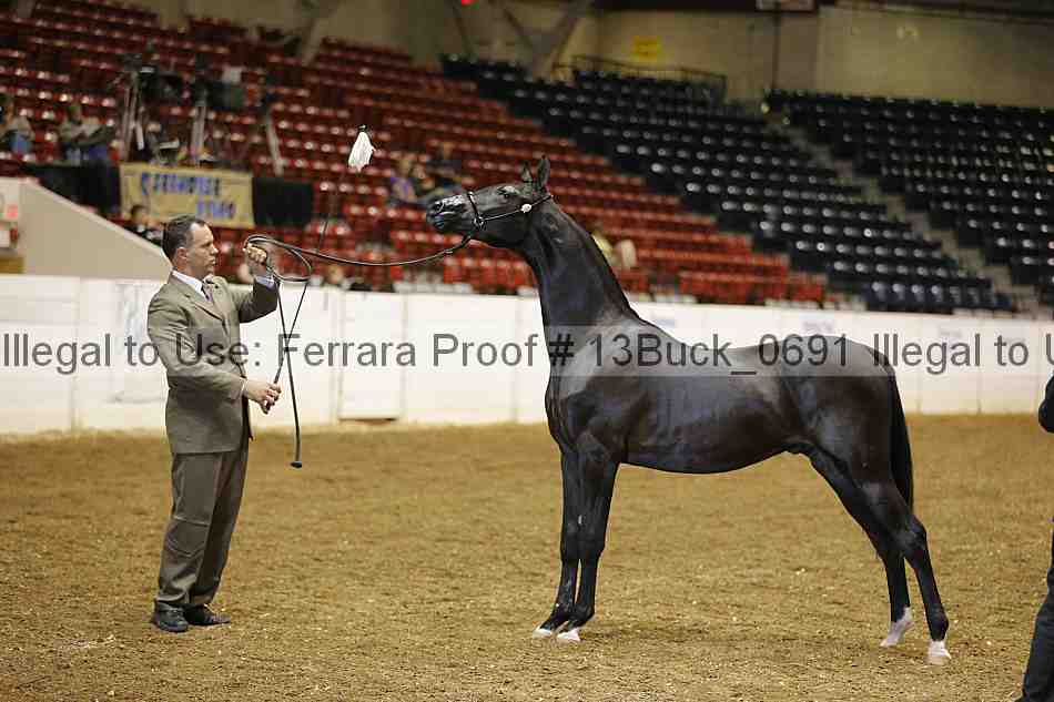 Proof 13buck_0691