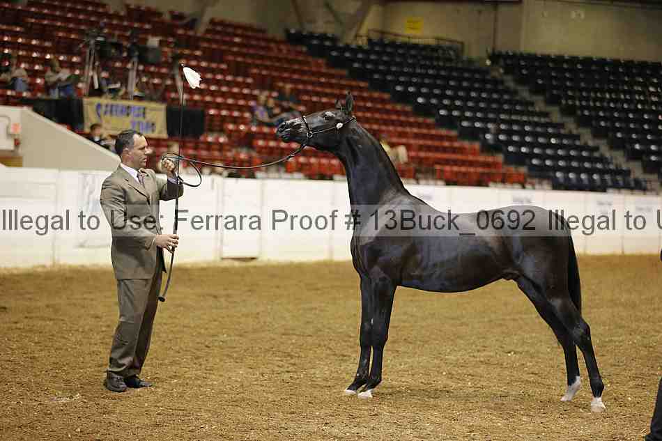 Proof 13buck_0692