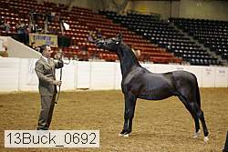 13buck_0692 proof