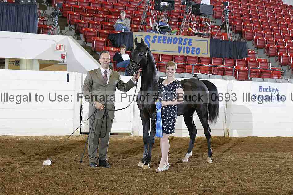 Proof 13buck_0693
